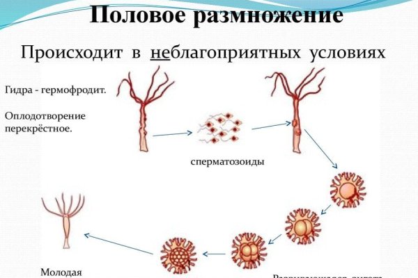 Ссылки для tor