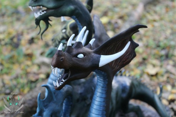 Kraken 18at