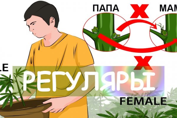 Замена hydra