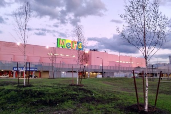 Ошибка на кракене