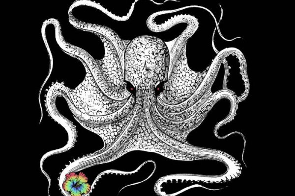 Kraken актуальное