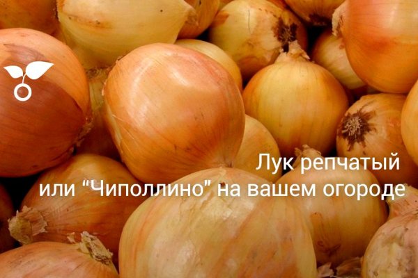 Зайти на сайт кракен