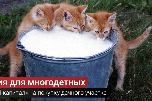 Кракен сайт маркетплейс ссылка