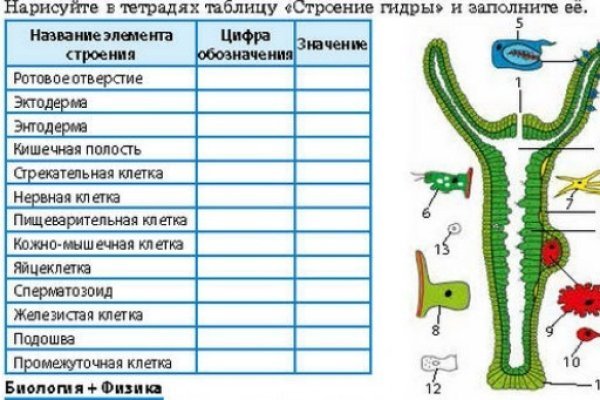 Кракен сегодня сайт зеркало