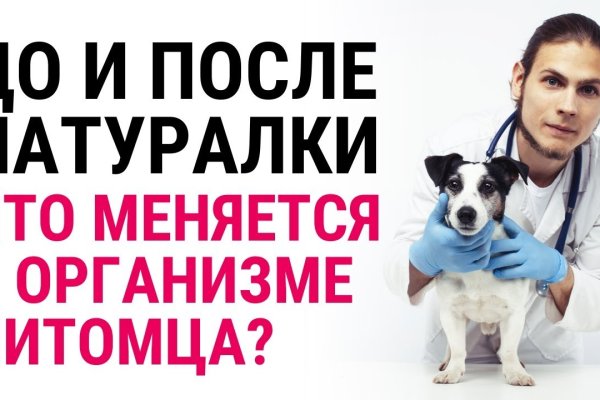 Зайти кракен через тор