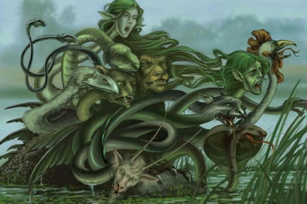 Kraken 12 at